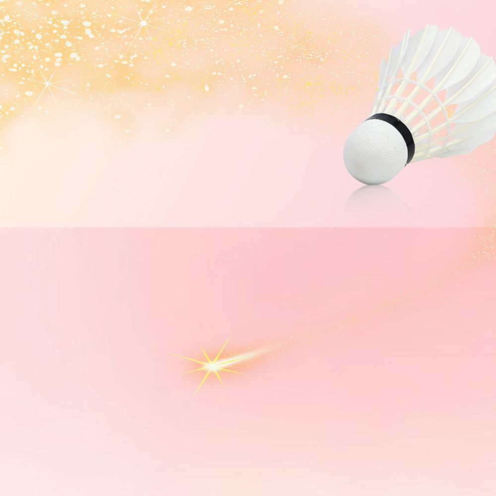Goose Feather Badminton Shuttl - Sports Equipment In Flight recension och pris