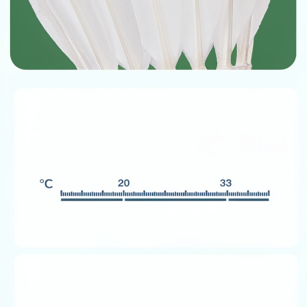 Goose Feather Badminton Shuttl - Sports Equipment In Flight recension och pris
