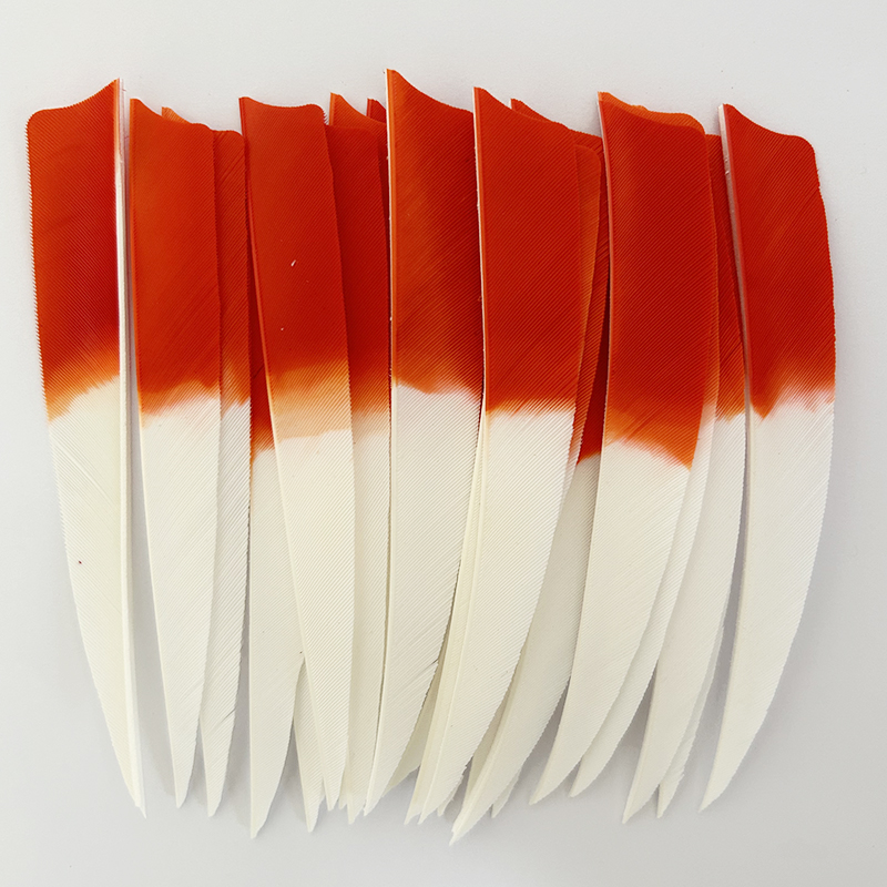 IBOUNFOX 50Pcs Archery Arrow F - Archery Target Face recension och pris